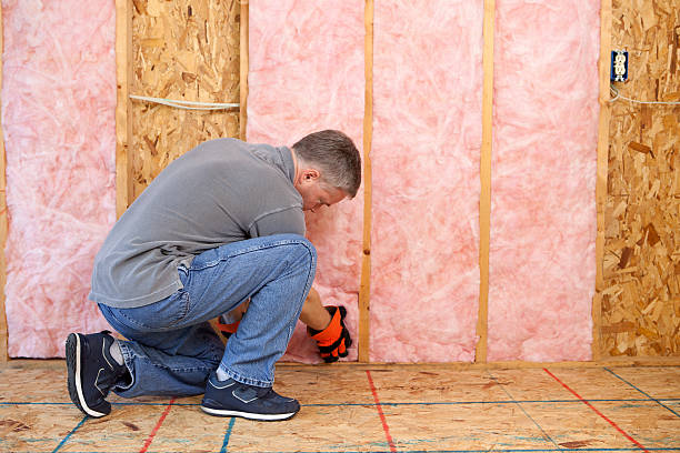 Best Basement Insulation  in USA